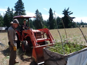 Gary directs as niece Kristen moves the orchard box into the garden.