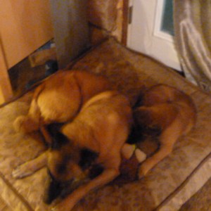 Ella and Sunny enjoy a peaceful moment.