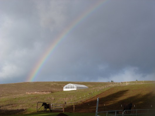 Spring rainbow today over the high tunnel and corral.