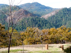 Chimney Rock: view from the kitchen window.